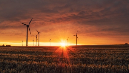 Schneider Electric lança aposta em consultoria sobre alterações climáticas