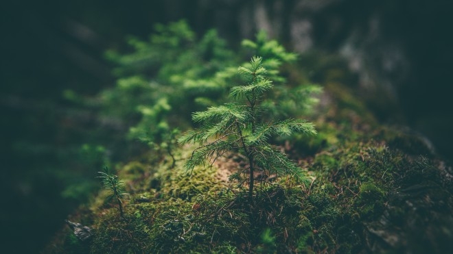 JP Sá Couto recebe distinção por desempenho ambiental