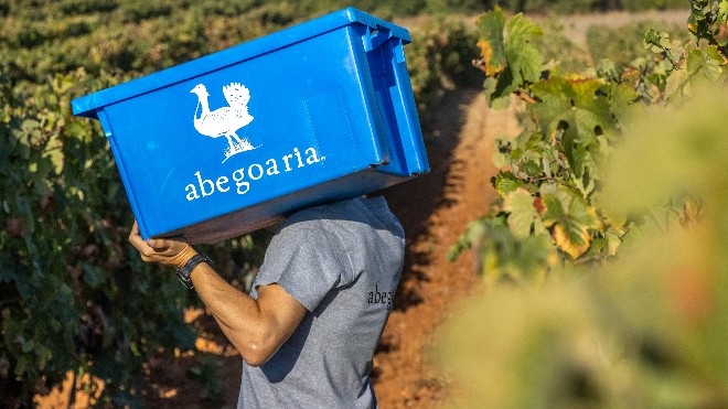 PRIMAVERA suporta digitalização de grupo de referência no setor dos vinhos