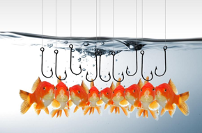 8 formas de reconhecer uma mensagem de Phishing 